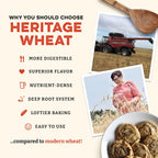 Sunrise Flour Mill Heritage Organic White Flour | USDA Organic All Purpose Flour Unbleached - Non-GMO, Kosher, Glyphosate Free, High Protein for Baking, Unbromated White Wheat (80 Ounce (Pack of 1))