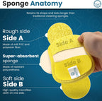 – 10 Kitchen Sponges Pack– Washable and Reusable Dishes Sponge Rubber – 6 X 3 inches - Multicolored