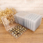 100 Pack Quail Egg Cartons, Clear Plastic Quail Egg Trays, Holds up to 30 Quail Eggs Securely - Your Ultimate Small Eggs Carton Holders for Bulk Storage and Display by KUKLIPJIM
