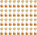 36 PCS Greeny Wedding Cupcake Toppers in Wood Mr & Mrs Engagement Cupcake Decorations