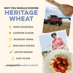 Sunrise Flour Mill USDA Organic Heritage Pasta Flour - 2 lbs | Milled from Hard Red Wheat | Easier to Digest with Less Bloating | No Bleaching or Bromating | Zero Additives