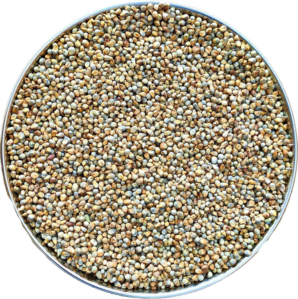 Yamkay Pearl Millet Flour (Bajra Atta) - Naturally Gluten-Free Bajra Flour & Kambu Flour, High-Fiber, Nutritious Grain for Healthy Cooking & Baking (1500 GM)
