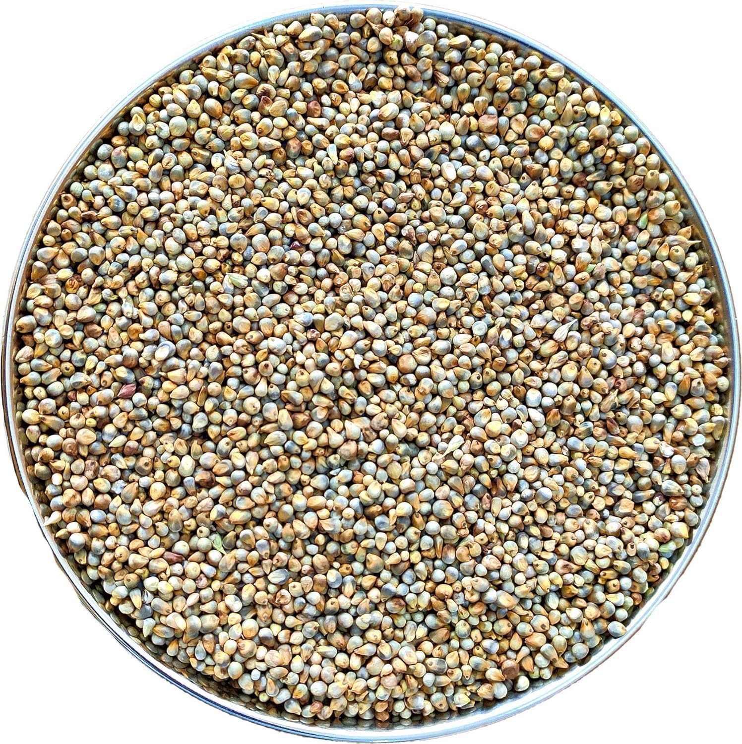 Yamkay Pearl Millet Flour (Bajra Atta) - Naturally Gluten-Free Bajra Flour & Kambu Flour, High-Fiber, Nutritious Grain for Healthy Cooking & Baking (1500 GM)