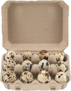30 Pcs Quail Egg Cartons Paper Pulp Egg Basket,A Dozen Blank Eggs Container Quail Egg Holder Container Reusable Egg Storage Tray for Home Kitchen Refrigerator Farmhouse (3 x 4 Square)