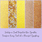 Confect Fusion Mashup Sprinkles FM Multipack 31 100 GMS for Cake Cupcake Décor, Multicolor