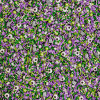 Fancy Sprinkles Limited Edition Halloween Graveyard Shift Purple and Green Crunchy Sprinkles, Plus Candy Eyeballs, Ghostly Confetti, and Eerie Tombstone Shapes (0.5c)